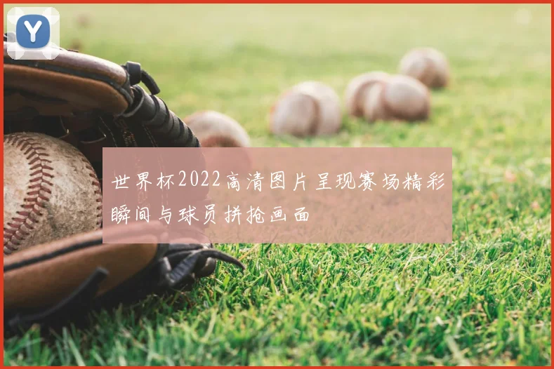 世界杯2022高清图片呈现赛场精彩瞬间与球员拼抢画面